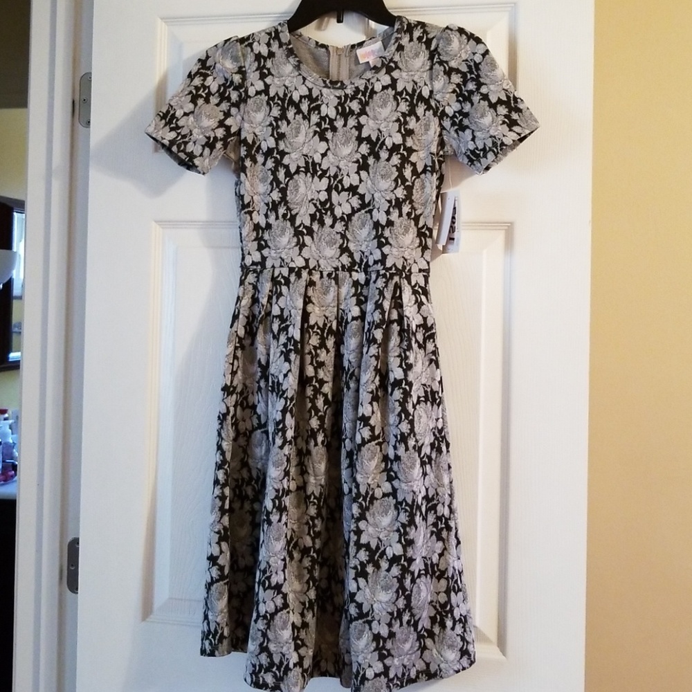 Xxs Lularoe Amelia